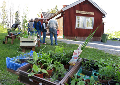 plantbytardag 2015