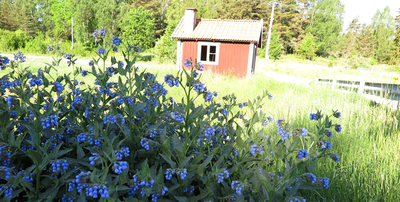 vid M�rbyg�rds tv�ttstuga